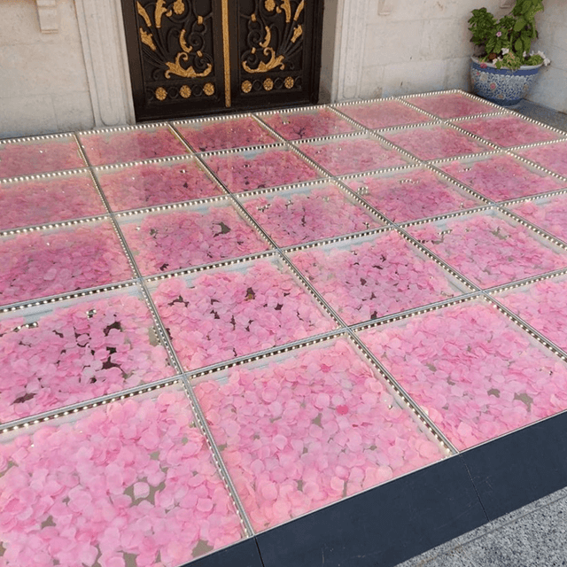 La scène de fleur sans fil utilisée multiple/décoration de mariage a mené la piste de danse